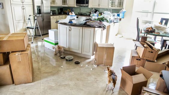 Move in Move out Cleaning in Nairobi Move In/Move Out Cleaning in Nairobi