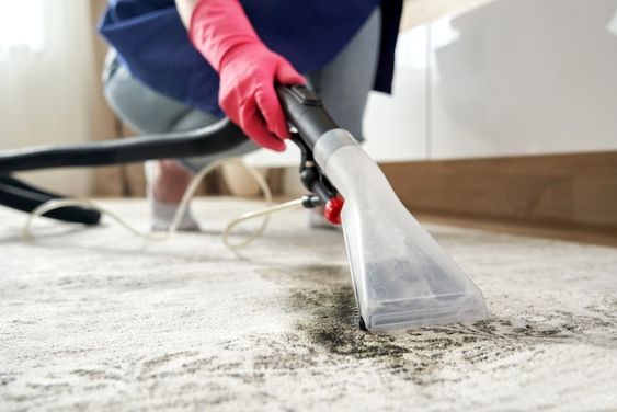 Professional Home Cleaners Professional Home Cleaners
