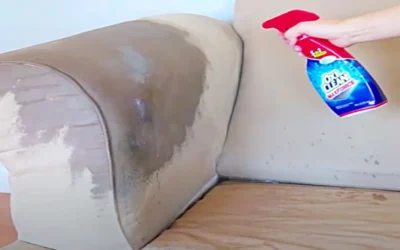 Blog Professional sofa cleaning vs DIY