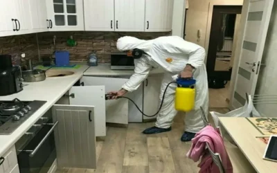 Blog Professional Pest Control vs DIY