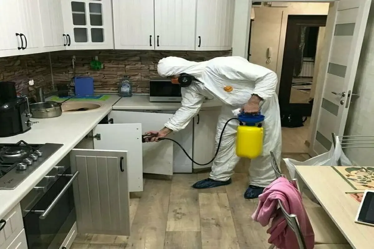 Prof. pest control Professional Pest Control vs DIY